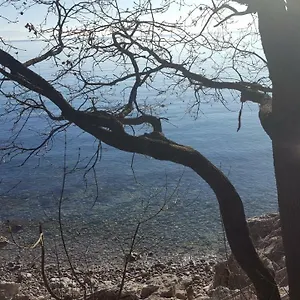 Sandi Apartman Rijeka